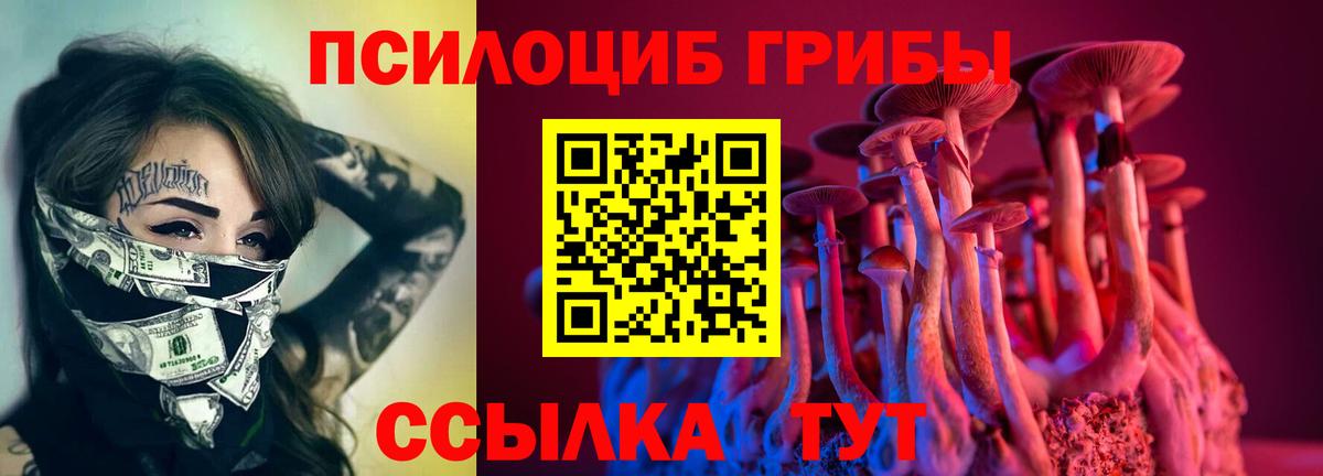 Псилоцибиновые грибы прущие грибы  Вход с VPN  Галлюциногенные грибы Psilocybe  Кольчугино 